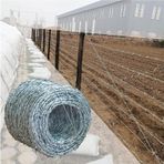 Galvanizli Çelik Dikenli Tel Rulo, Çitler, El Sanatları, Bahçe, Haşere Kovucu ve Kuş Besleyiciler için 4 Uçlu Paslanmaz Bıçak - Dayanıklı, Kolay Pl