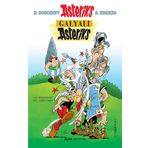 Galyalı Asteriks