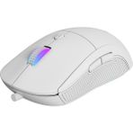 GameBooster M11 Dire Beyaz RGB Gaming Mouse
