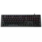 Gameforce Raider Blue Switch Rainbow Mekanik Oyuncu Klavye