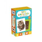 Games 24 Kart Doku Kartlarım Eğitici Bilgi Kartları