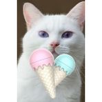 Gampus Dondurma Şeklinde Catnipli Kedi Nanesi Otu, Yenilebilir Oyun Topu Ve Yalama Oyuncağı