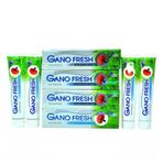 Gano Excel Gano Soap Fresh Florürsüz 4x150 ml Diş Macunu