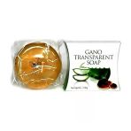 Gano Excel Gano Transparent Soap Şefaf Sabun