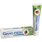Gano Fresh 150 gr Nane Özlü Reishi Mantarlı Diş Macunu