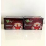 Gano Ganoderma Mantarlı Roybos Karışık Bitki Çayı Süzen Poşet 2'li Paket