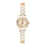 Gant 22 mm Quartz Saat G194104