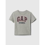 Gap Erkek Bebek Gri Gap Logo T-Shirt - 2 Yaş