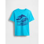 Gap Erkek Çocuk Açık Mavi Grafik Baskılı T-Shirt - XL