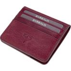 Garbalia Regina Bordo Erkek Kartlık