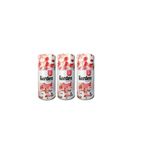 Garden 3x260 ml Otomatik Yedek Parfüm Esansı Oda Kokusu