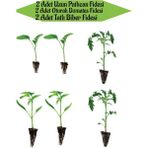 Garden Box 2 Adet Uzun Patlıcan Fidanı+2 Adet Sarı Tatlı Biber+2 Adet Oturak Domates Fidanı