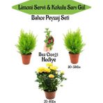 Garden Box Bahçe Seti 2 Adet Limoni Servi Fidanı+1 Adet Sarı Gül Fidanı+Hediye Buz Çiçeği