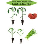 Garden Box Fide Seti 2 Adet Pembe Domates Fidanı+ 2 Adet Kıl Acı Biber Fidanı