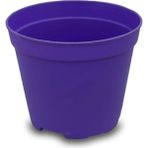 Garden Box Katı Plastik Sukulent Saksısı 20 Adet Koyu Mor (5.5 cm)