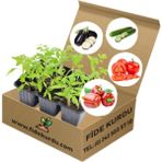 Garden Box Sebze Fidesi Hobi Seti 50 Adet Bol Verimli