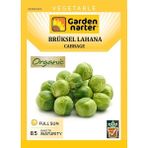 Garden Narter Brüksel Lahana Tohumu Doğal Organik Tohum Pakette 30 Tohum - 40 Adet