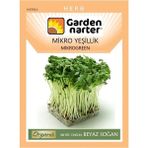 Garden Narter Mikro Yeşillik Için Microgreen Organik Beyaz Soğan Tohumu 12 gr 3000 Tohum - 1 Paket
