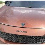 Gardenauto Yeni Peugeot Logo 3D Arma Amblem Sticker - Siyah - 8x6,5