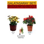 Gardenbox 2'Li Takım Seti Sarı Bodrum, Kırmızı Açelya, Buz Çiçeği Hediyeli, 20-40 cm