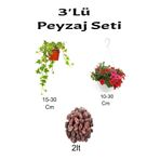 Gardenbox 3'Lü Peyzaj Seti, Amerikan Sarmaşığı, Kırmızı Petunya Çiçeği, Curf, 2lt Toprak