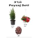 Gardenbox 3'Lü Peyzaj Seti, Limon Çamı Fidanı, Kırmızı Petunya Çiçeği, 2lt Kültür Toprağı