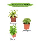 Gardenbox Aromatik Kokulu Mutfak Seti, Adaçayı + Fesleğen + Nane Fidesi, 3 Adet