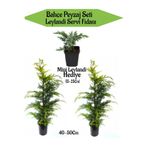 Gardenbox Bahçe Peyzaj Seti, 2 Adet Leylandi Servi Fidanı 40-50cm + Hediye Mini Leylandi Fidanı 15-25cm
