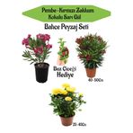 Gardenbox Bahçe Seti, 2 Adet Limoni Servi Fidanı, 1 Adet Sarı Gül Fidanı, Hediye Buz Çiçeği