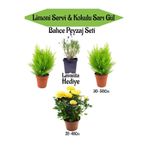 Gardenbox Bahçe Seti, 2 Adet Limoni Servi Fidanı, 1 Adet Sarı Gül Fidanı, Hediye Lavanta