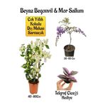 Gardenbox Beyaz Begonvil Çiçeği, Mor Salkım Ağacı Fidanı, Telgraf Çiçeği Hediyeli Bahçe Peyzaj Seti