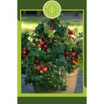 Gardenbox Bodur Cherry Domates Tohumu, 30 Adet