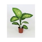 Gardenbox Difenbahya Tropik Salon Bitkisi Tropic Snow, 50-70 cm, Saksı ile