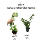 Gardenbox Kartopu Katmerli Ful Yasemin Çiçeği 2'li Set, 40-60 cm, Çok Renkli, Dış Mekan Bitkisi