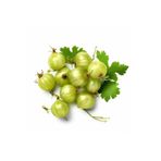 Gardenbox Sarı Bektaşi Üzüm Fidanı, 50 cm, Tüplü Fidan
