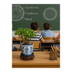 Gardenbox Yeşim Çiçeği, 15-30 cm, Bonsaiye Uygun, Salon Bitkisi, Hediyelik Ofis Çiçeği