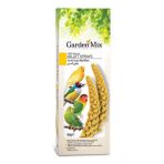 Gardenmix Platin Sarı Dal Darı