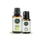 Gardone 30 ml Bergamot Uçucu Buhurdanlık Koku Yağı + 10 ml Okaliptüs Yağı
