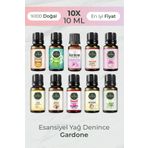 Gardone Sevilen 10'lu Set Esansiyel Uçucu Yağ Buhurdanlık Yağı Hava Nemlendiri Aroma Difizörü Kokusu Esans