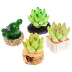 Garneck Yosun Minyatür Saksı Bitkileri 4 Adet Dollhouse Mini Etli Bitkiler Ile Tencere Yapay Minik Bonsai Mikro Peyzaj Süs Çocuklar Için Dollhouse Sahne Masaüstü Aksesuarları