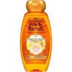Garnier 370 ml Fas Argan ve Kamelya Yağı Özlü Parlaklık Şampuanı