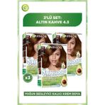 Garnier Nutrisse Ultra Creme 4.3 3x60 ml Saç Boyası