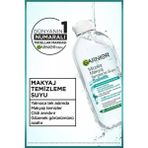 Garnier Salisilik Micellar Makyaj Temizleme Suyu 400 ml