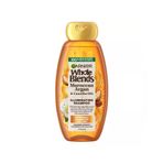 Garnier Whole Blends Argan ve Kamelya Yağı Özlü Aydınlatıcı Şampuan 12.5Oz / 370ml