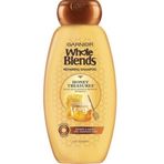 Garnier Whole Blends Bal Özlü 650 ml Onarıcı Şampuan