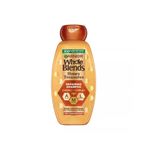 Garnier Whole Blends Honey Treasures Onarıcı Şampuan 12.5Oz / 370ml
