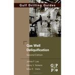 Gas Well Deliquification, Second Edition (Gulf Drilling Guides) 2nd edition by Lea, James F., Nickens, Henry V., Wells BSc(Hons) MD FRCPa (2008) Gebundene Ausgabe