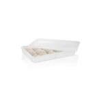 GastroPlast Gphpe-75 Polipropilen Pizza Hamur Teknesi, 400x600x75 Mm ( Kapak Dahildir.)