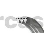 Gates 3PK628SF Kanallı Kayış