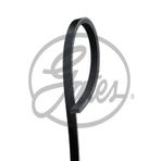 Gates 4PK1268 Kanallı Kayış